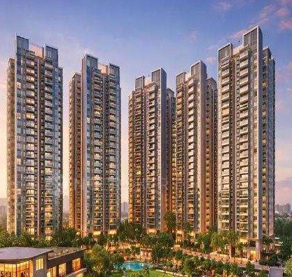 DLF